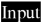 input